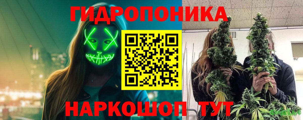 Канабис VHQ  Конопля Amnesia  Вход с VPN  Вышний Волочёк  Шишки марихуана индика 